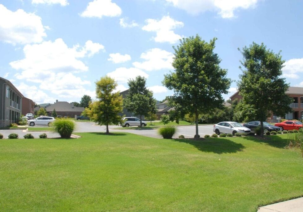 A view of some trees and cars in the grass.